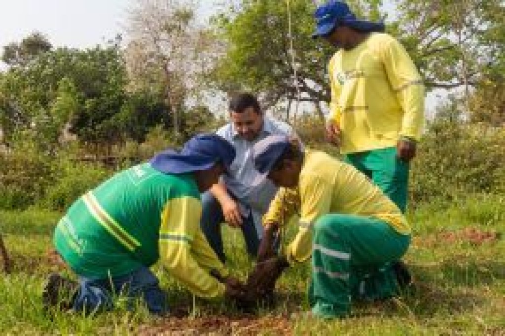 Limpurb Faz A O Em Alus O Ao Dia Da Rvore E Refor A Trabalho Cont Nuo