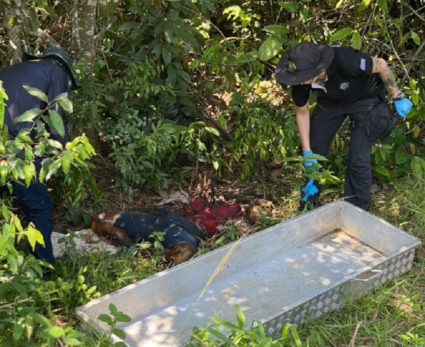 Corpo Em Decomposi O Encontrado Em Matagal De Lucas Do Rio Verde