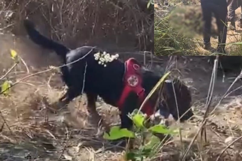 Foto montagem: Géssica Biazus