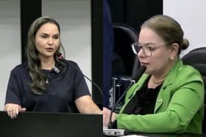 Foto montagem: Géssica Biazus