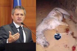 Foto montagem: Géssica Biazus