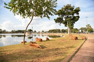 Parque Tia Nair recebe evento natalino com chegada do Papai Noel