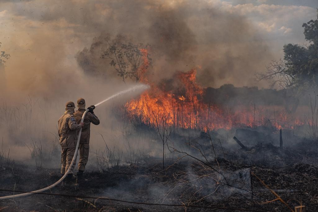 MT decreta calamidade e dobra estrutura contra incêndios florestais | Mato  Grosso Mais : Notícias de Cuiabá e Mato Grosso