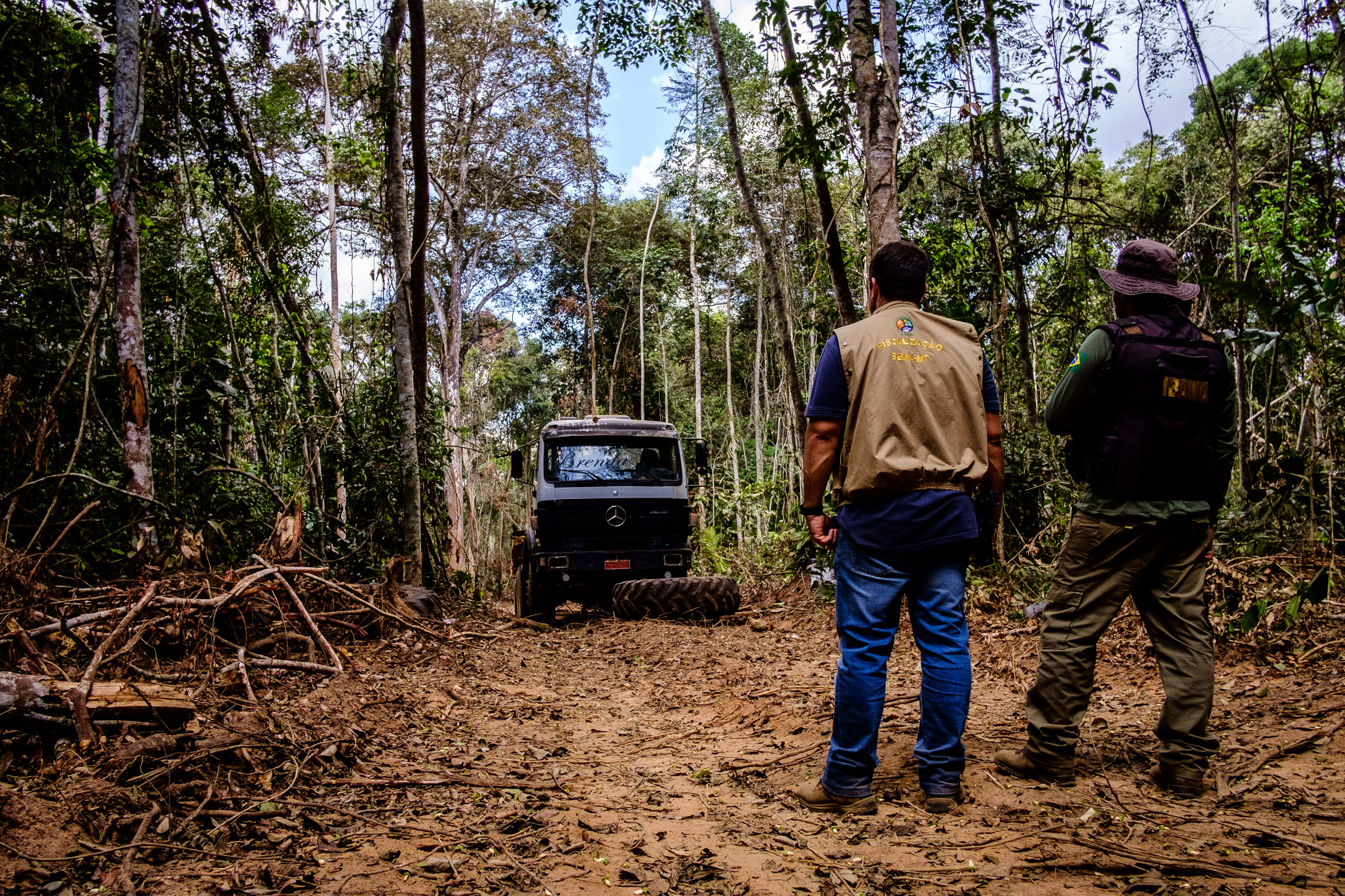 Mt O Estado Que Mais Age No Combate Ao Desmatamento Mato Grosso Mais Not Cias De Cuiab E