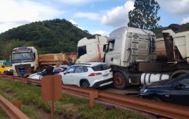 Homem “fisga” gato de verdade em máquina de pegar pelúcia no Mato Grosso do  Sul